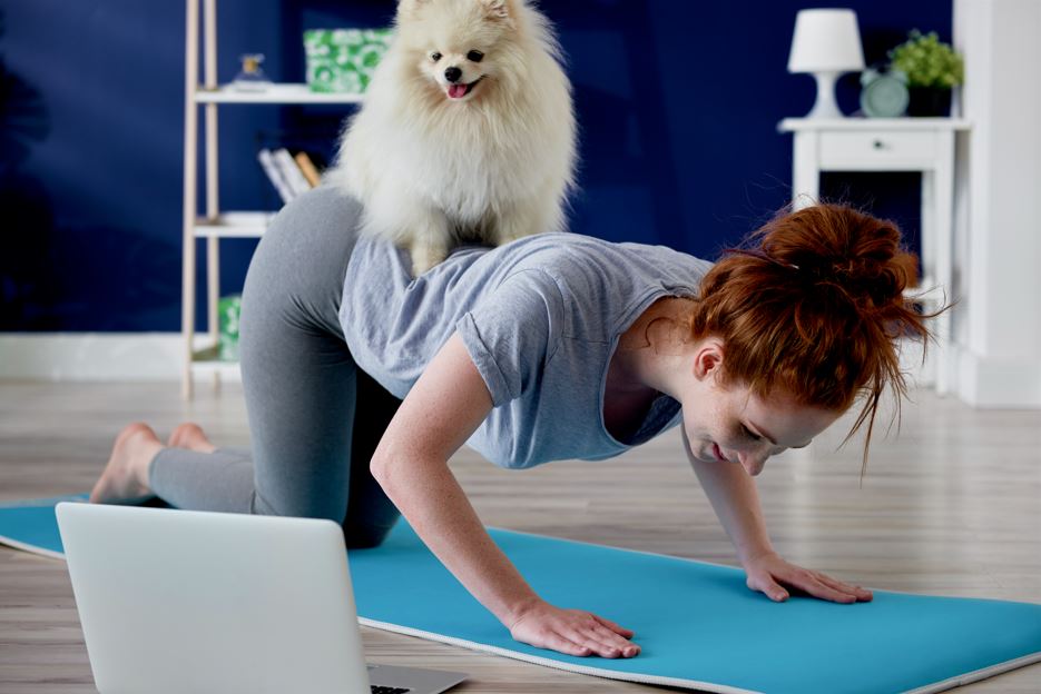 exercícios físicos para fazer em casa